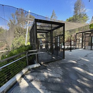 Acacia Woodland Aviary