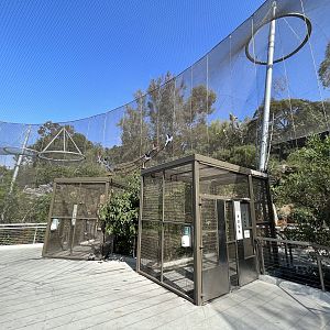 Acacia Woodland Aviary