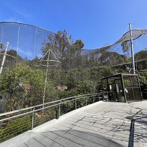 Acacia Woodland Aviary