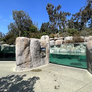 African Penguin Exhibit