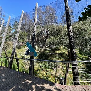 Steller’s Sea Eagle Aviary