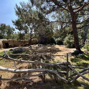 Bontebok Exhibit (1st half)