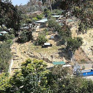 Off-show Hoofstock Yards