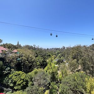 Lush Vegetation + Skyfari Ride
