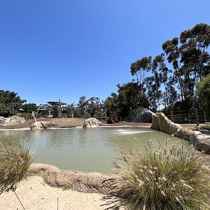 Elephant Odyssey Pool