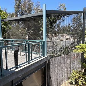 Wrinkled Hornbill Aviary