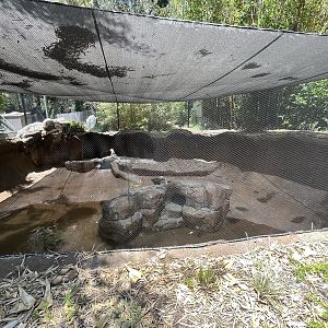 Red-breasted Goose Grotto!