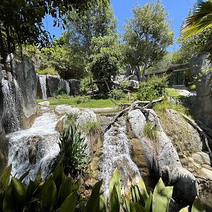 Gorilla Exhibit (waterfalls galore!)