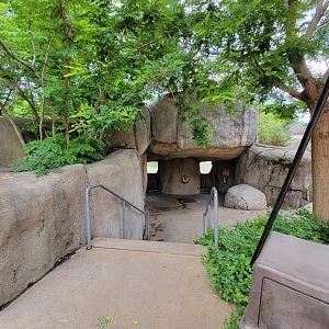 Cleveland Zoo - Another elephant viewing area