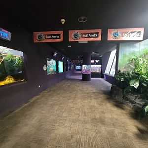 Cleveland Zoo - PCA, Aquatics on left, primates on right