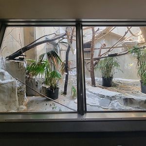 Cleveland Zoo - PCA, Bolivian gray titi, Linnaeus's two-toed sloth