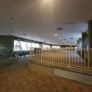 Cleveland Zoo - PCA, Gorillas