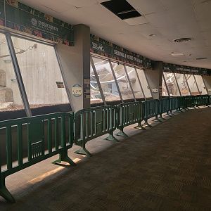 Cleveland Zoo - PCA, Western lowland gorillas