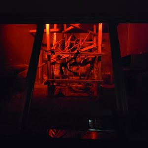 Cleveland Zoo - PCA, Aye-aye