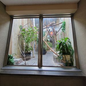 Cleveland Zoo - PCA, Unsigned, empty?