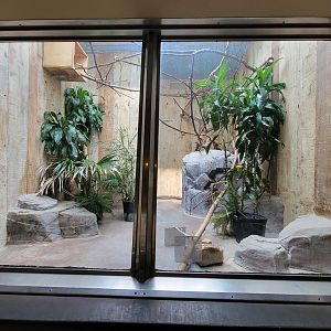 Cleveland Zoo - PCA, Scarlet macaw (unseen)