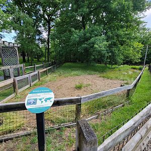 Cleveland Zoo - PCA outside, Aldabra tortoise