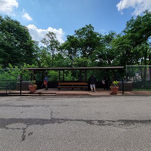 Cleveland Zoo - PCA outside, Cheetah viewing area