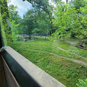 Cleveland Zoo - PCA outside, Cheetah yard