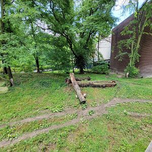 Cleveland Zoo - PCA outside, Cheetah yard