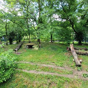 Cleveland Zoo - PCA outside, Cheetah yard