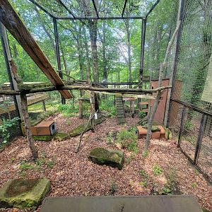 Cleveland Zoo - PCA outside, Red panda (unseen)