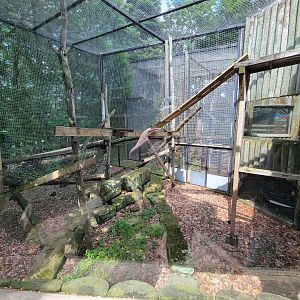 Cleveland Zoo - PCA outside, Red panda (unseen)