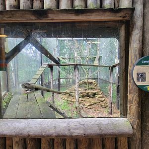 Cleveland Zoo - PCA outside, Guereza colobus (unseen)