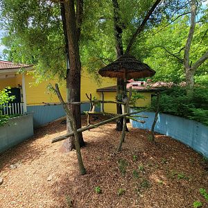 Cleveland Zoo - Australia, Koalas outside area