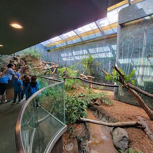 Cleveland Zoo - Australia, Koalas and tree kangaroos building