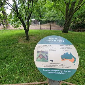 Cleveland Zoo - Australia, Western grey kangaroos, signage example