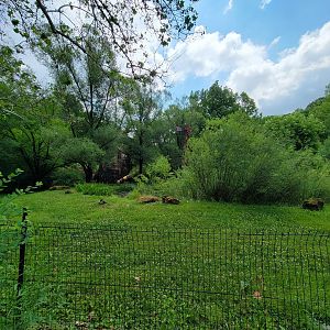 Cleveland Zoo - Australia, lush yard, first sighting of Yagga tree