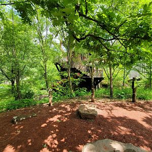 Cleveland Zoo - Australia, Yagga tree