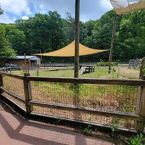 Cleveland Zoo - Australia, another goat yard