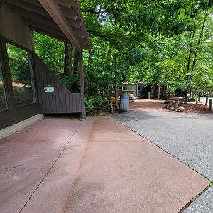 Cleveland Zoo - Australia, Dingo viewing