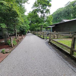Cleveland Zoo - Australia, path