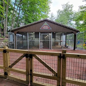 Cleveland Zoo - Australia, Eurasian eagle-owl / common barn owl