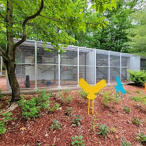 Cleveland Zoo - Australia, Nature Innovation Station, common barn owl on left