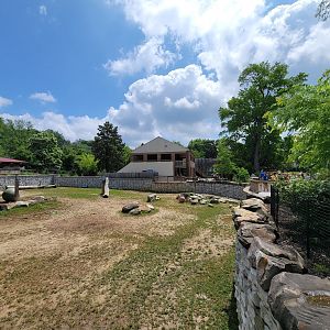 Cleveland Zoo - Africa, Eastern black rhino