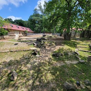 Cleveland Zoo - Africa, Eastern black rhino secondary yard
