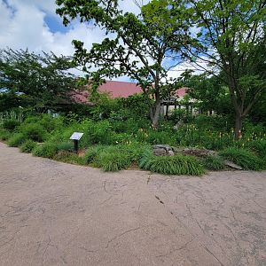 Cleveland Zoo - Africa, Flora