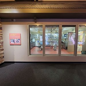 Cleveland Zoo - Africa, Vet building