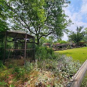 Cleveland Zoo - Africa, Superb starling, giraffe feeding platform
