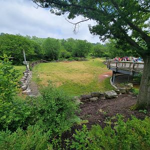 Cleveland Zoo - Africa, Giraffes, bontebok, white stork