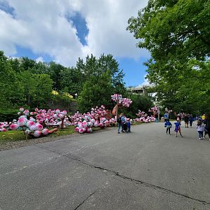 Cleveland Zoo - Setting up for the lantern festival
