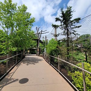 Cleveland Zoo - Tiger Passage path