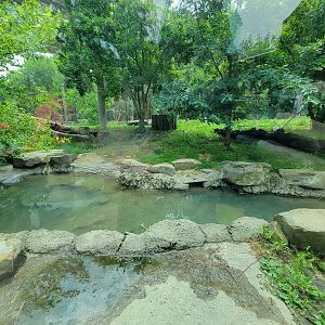 Cleveland Zoo - Tiger Passage