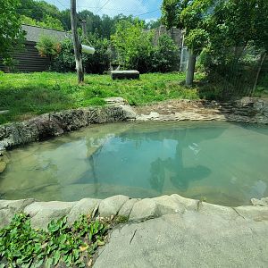 Cleveland Zoo - Tiger Passage