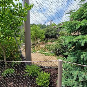 Cleveland Zoo - Tiger Passage