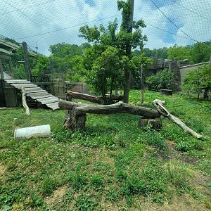 Cleveland Zoo - Tiger Passage